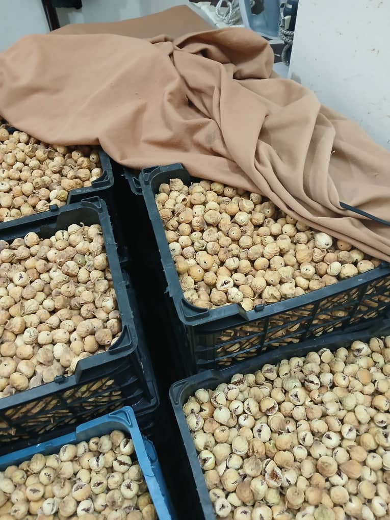 تصویر 1 از فروش ویژه انجیر خشک فارس آ + بهترین قیمت استان و ایران